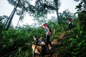 BIB: 
                            <button type="button" onclick="openModal(26202989)" class="btn btn-primary btn-sm float-right btn-popup" data-toggle="modal" data-target=".modal-high-quality">
                        <i class="fas fa-shopping-cart"></i> Add to Cart
                    </button>
                                            <button type="button" onclick="isThisMe(26202989, true)" class="btn btn-success btn-sm float-right btn-popup btn-isme hidden" data-toggle="tooltip" data-placement="bottom" title="นี่คือรูปของคุณใช่ไหม คลิกที่นี่เพื่อเอาเข้าอัลบั้ม">
                        <i class="fas fa-plus"></i> Add to album
                    </button>
                    <button type="button" onclick="isThisMe(26202989, false)" class="btn btn-warning btn-sm float-right btn-popup btn-isnotme hidden">
                        <i class="fas fa-ban"></i> Remove from album
                    </button>